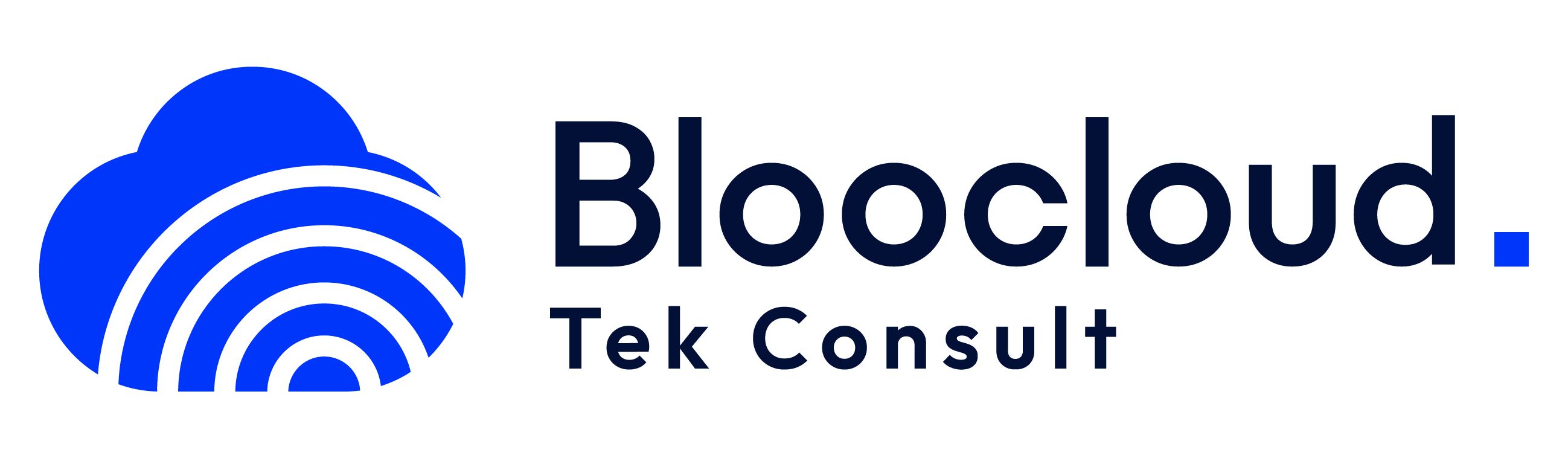 Bloo Cloud Tek Consult